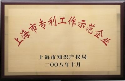 上(shàng)海市(shì)專利工(gōng)作示範企業(yè)